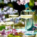 Power Cocktail Glass 276ml/9.25oz additional 6