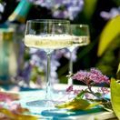 Power Cocktail Glass 276ml/9.25oz additional 4