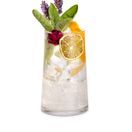 Borgonovo Elixir Highball Glasses 350ml additional 2