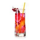 Borgonovo Frosty Highball Glasses 300ml additional 2