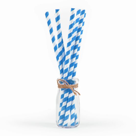 Blue And White Biodegradable 2 Ply Paper Straws 6mm