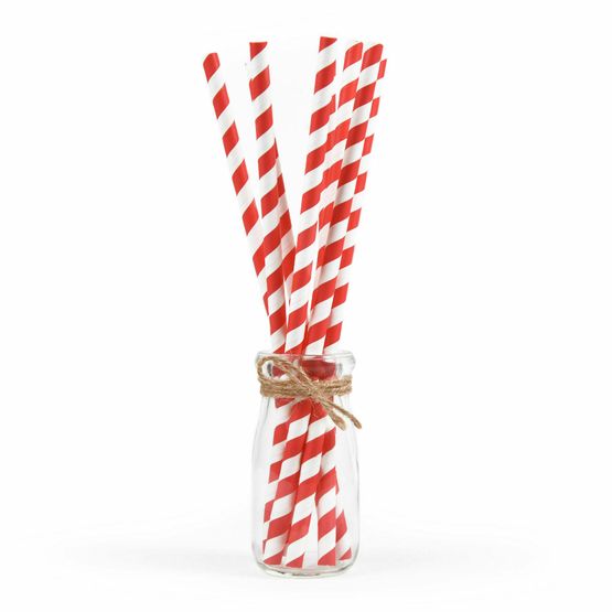 Red &amp; White Paper Smoothie Straw 200mm x 8mm Bore