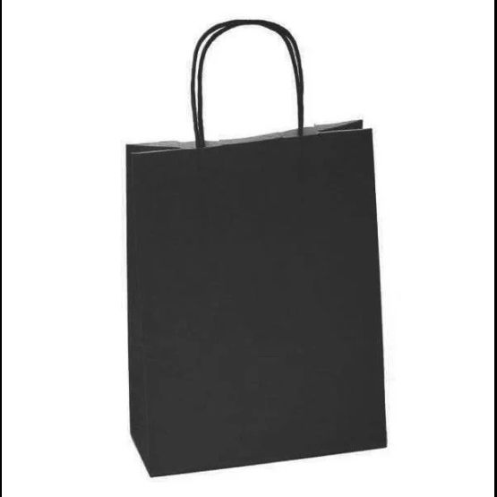 Black Small Paper Carrier Bags Twist Handle 24cm x 31cm x 11cm