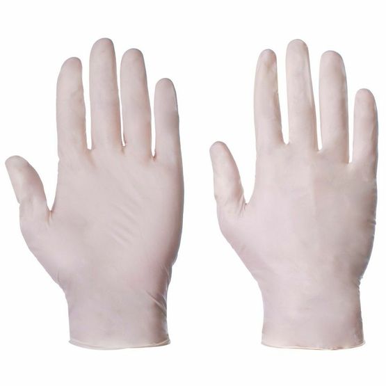 Powder Free Latex Gloves - Large