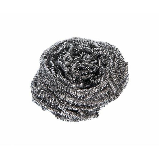 Stainless Steel Scourer