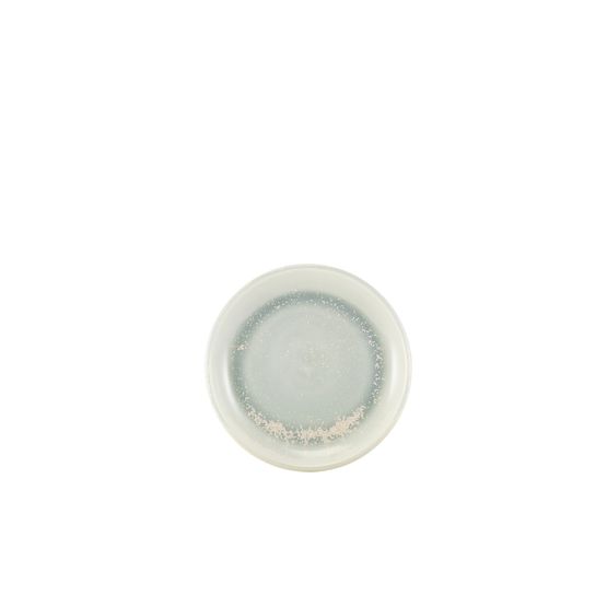 Terra Porcelain Pearl Coupe Plate 19cm