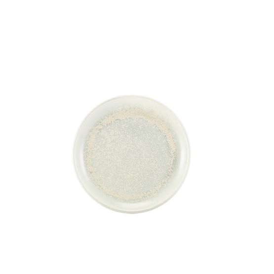 Terra Porcelain Pearl Coupe Plate 24cm