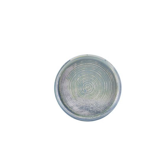 Terra Porcelain Seafoam Presentation Plate 20.5cm