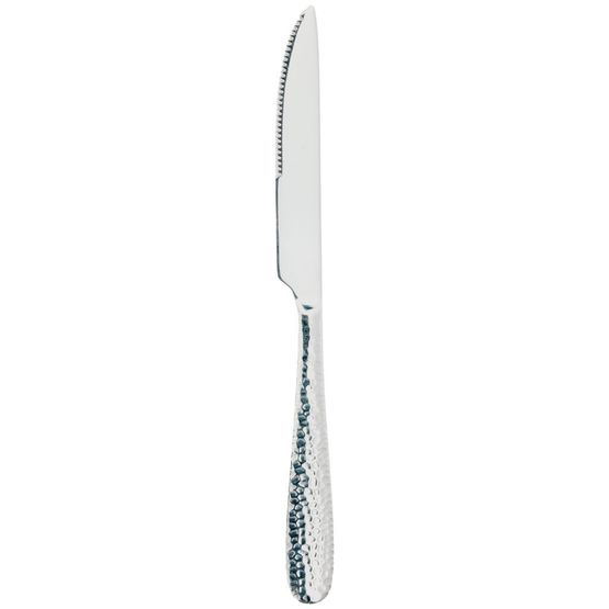 DPS Tableware A8413 Echo Steak Knife 18/0 Dozen 232mm (9”)