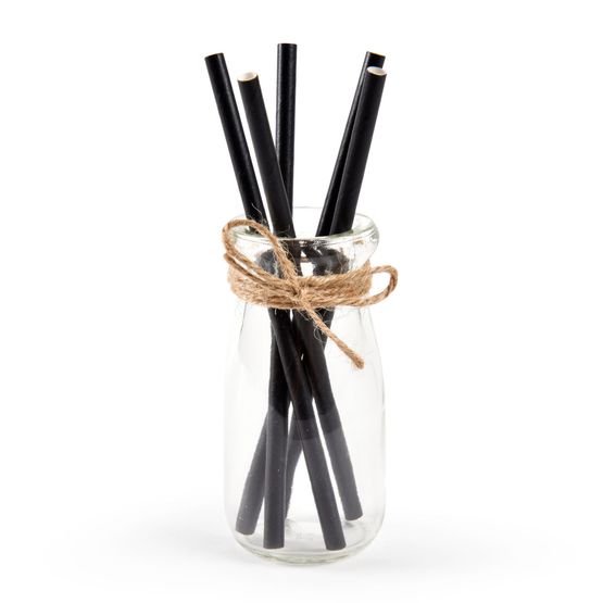 Fiesta Cocktail Paper Straws Black 145mm x 5mm